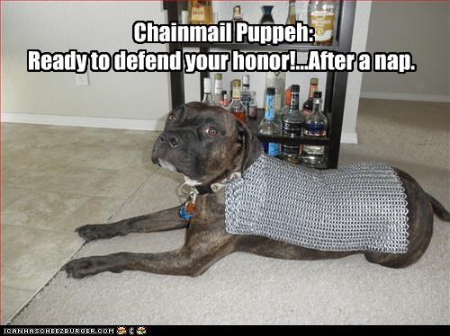 Chainmail Puppeh: 
Ready to defend your honor!...After a nap.