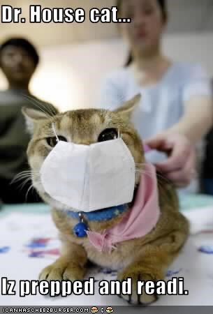 Dr. House cat...  Iz prepped and readi.