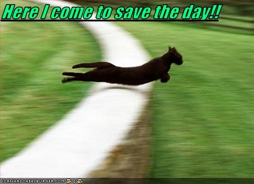 Here I come to save the day!!