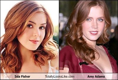 Isla Fisher Totally Looks Like Amy Adams