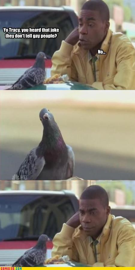 Pigeons...
