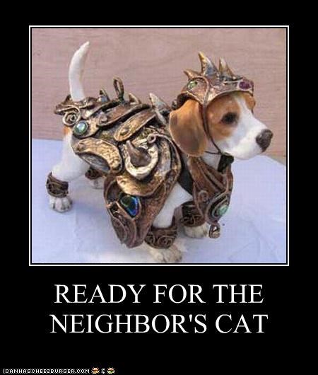READY FOR THE NEIGHBOR'S CAT