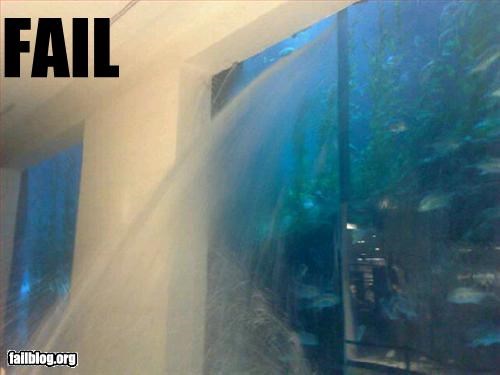 Aquarium Fail