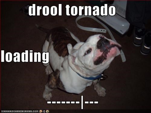 drool tornado loading  -------|---