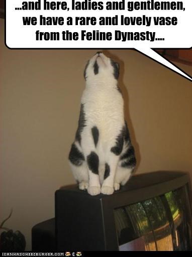 ...and here, ladies and gentlemen, we have a rare and lovely vase from the Feline Dynasty....