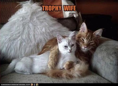TROPHY  WIFE