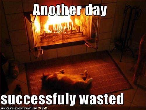 Another day  successfuly wasted