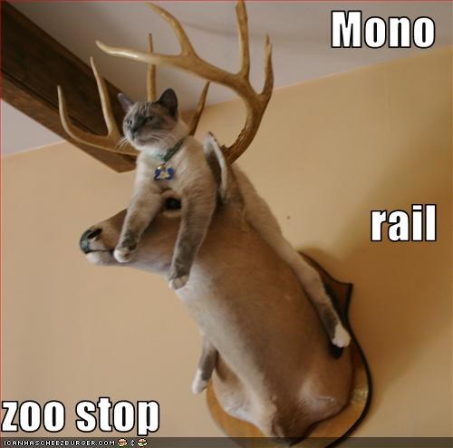 Mono rail  zoo stop
