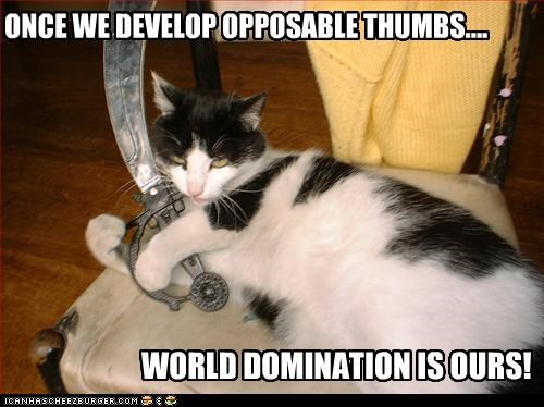 ONCE WE DEVELOP OPPOSABLE THUMBS....