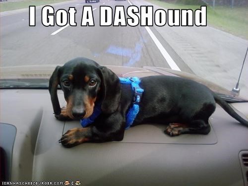 I Got A DASHound