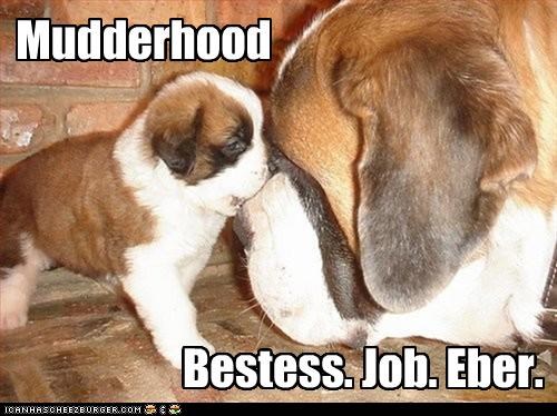Mudderhood