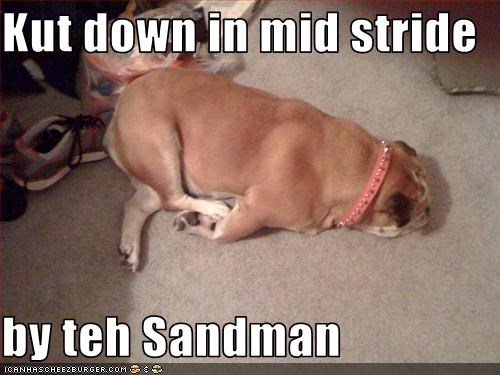 Kut down in mid stride  by teh Sandman
