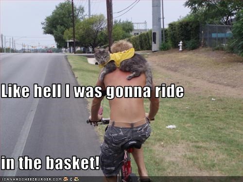 Like hell I was gonna ride in the basket!