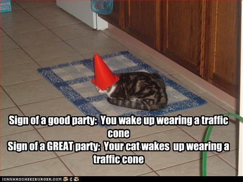 Sign of a good party:  You wake up wearing a traffic cone Sign of a GREAT party:  Your cat wakes  up wearing a traffic cone