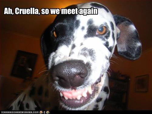 Cruella. So we meet again
