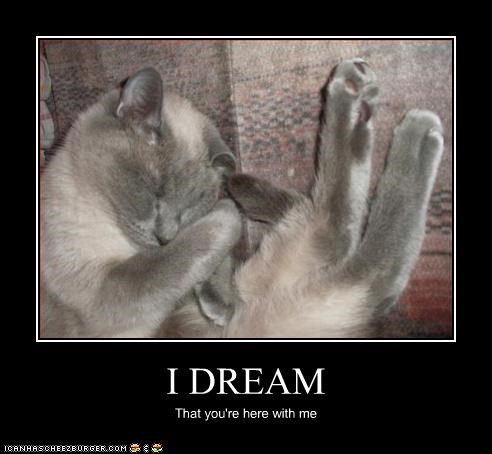 I DREAM