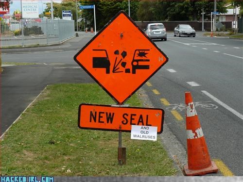 New Seal Old Walruses
