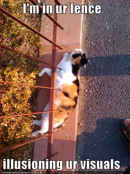 I'm in ur fence  illusioning ur visuals