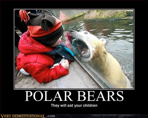 Aren't Polar Bears Awesome?