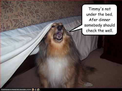 Timmy's not under the bed.  Afer dinner somebody should check the well.