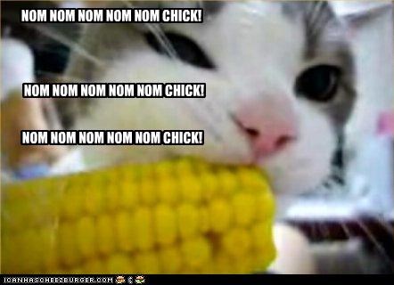 NOM NOM NOM NOM NOM CHICK!
