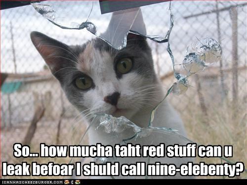 So... how mucha taht red stuff can u leak befoar I shuld call nine-elebenty?