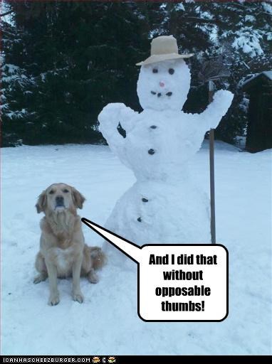 And I did that without opposable thumbs!