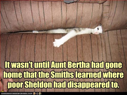 It wasn't until Aunt Bertha had gone home that the Smiths learned where poor Sheldon had disappeared to.