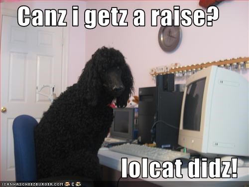 Canz i getz a raise?  lolcat didz!