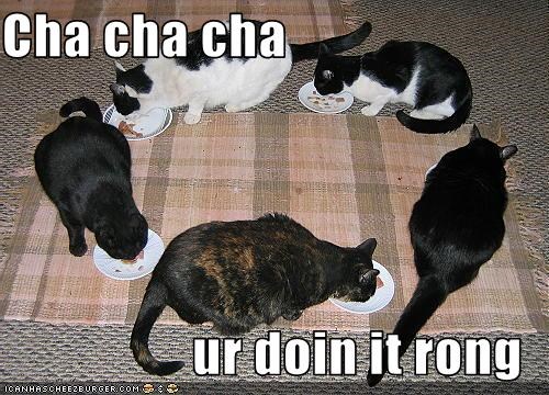 Cha cha cha  ur doin it rong