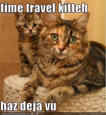 time travel kitteh  haz deja vu