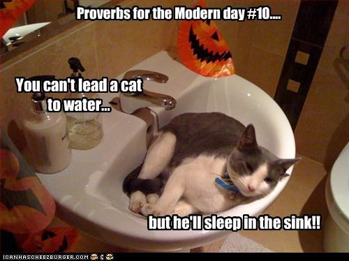 Proverbs for the Modern day #10....