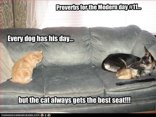 Proverbs for the Modern day #11...