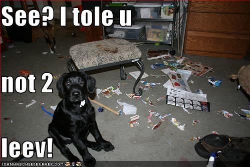 See? I tole u  not 2 leev!