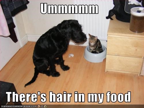 Ummmmm  There's hair in my food