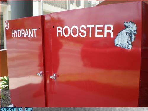 Hydrant Rootser