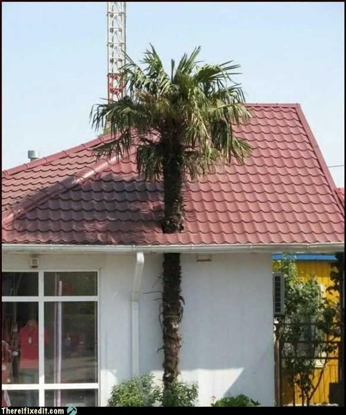 Reasonable Accomodation Is Made