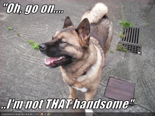 "Oh, go on....  ..I'm not THAT handsome"