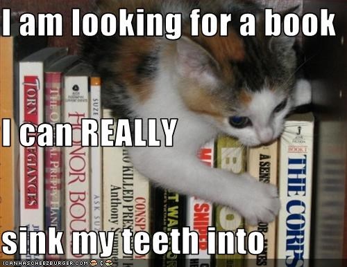 I am looking for a book I can REALLY sink my teeth into
