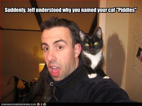 Suddenly, Jeff understood why you named your cat "Piddles"