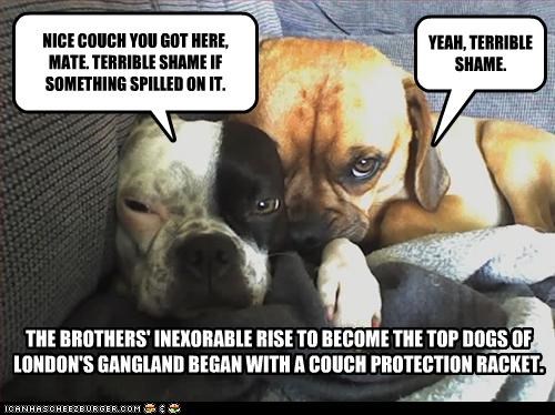 THE BROTHERS' RISE TO BECOME TOP DOGS OF LONDON'S GANGLAND BEGAN WITH A COUCH PROTECTION RACKET.