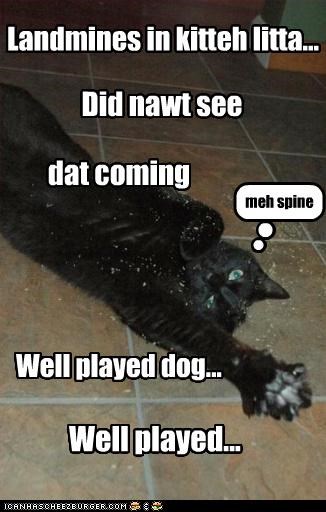 Landmines in kitteh litta...