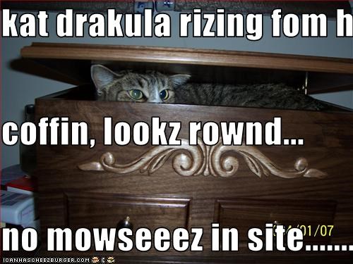 kat drakula rizing fom his coffin, lookz rownd... no mowseeez in site...................