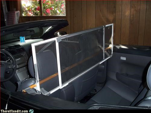 She Wanted a Windscreen