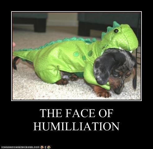 THE FACE OF HUMILLIATION
