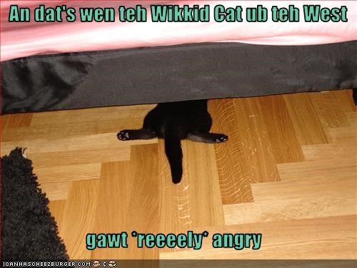 An dat's wen teh Wikkid Cat ub teh West  gawt *reeeely* angry