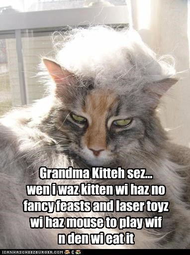 Grandma Kitteh sez... wen i waz kitten wi haz no  fancy feasts and laser toyz wi haz mouse to play wif n den wi eat it