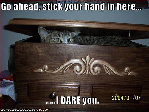 Go ahead, stick your hand in here...  .....I DARE you.