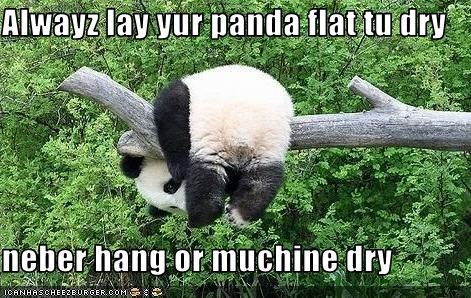 Alwayz lay yur panda flat tu dry  neber hang or muchine dry