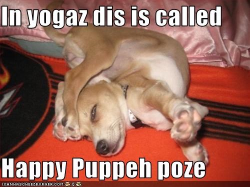 In yogaz dis is called  Happy Puppeh poze